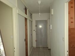 Photo n°1