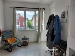 Photo n°5