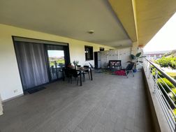 Photo n°8