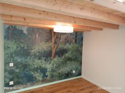 Photo n°6