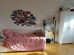 Photo n°7