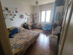 Photo n°6