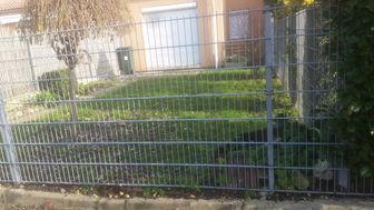 Photo n°6