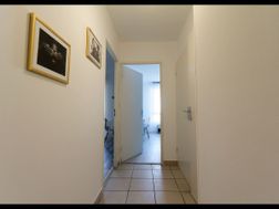 Photo n°3