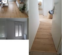 Photo n°4