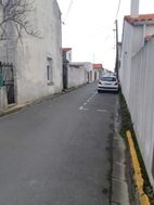 Photo n°8