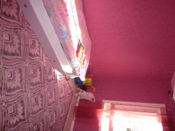 Photo n°1
