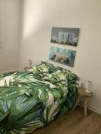 Photo n°4