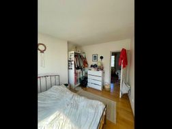 Photo n°6