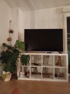 Photo n°1