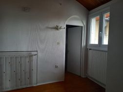 Photo n°6