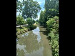 Photo n°2