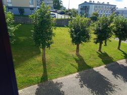 Photo n°5