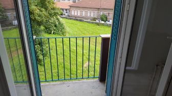 Photo n°6