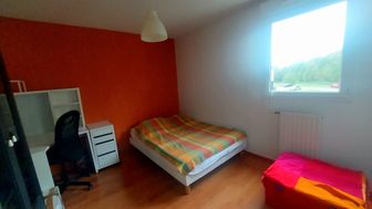 Photo n°6