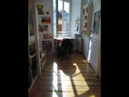 Photo n°2