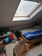 Photo n°6