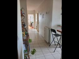Photo n°4