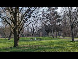 Photo n°14