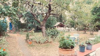 Photo n°1