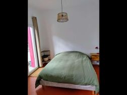 Photo n°4