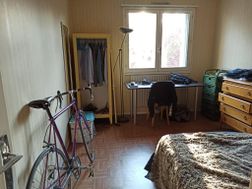 Photo n°4