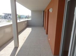 Photo n°1