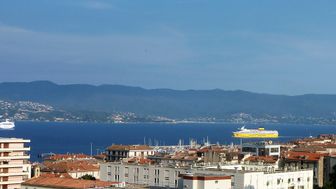 Photo n°1