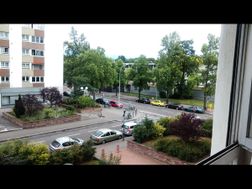 Photo n°5