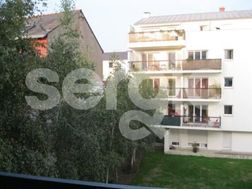 Photo n°5