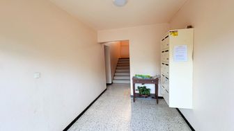 Photo n°6