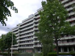 Photo n°1