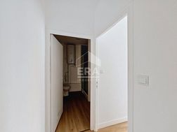 Photo n°4