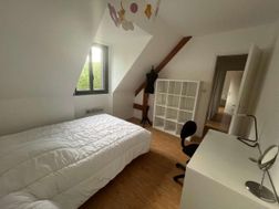 Photo n°6