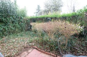 Photo n°6