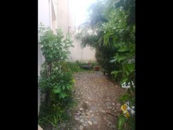 Photo n°1