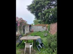 Photo n°4