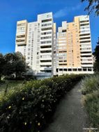 Photo n°1
