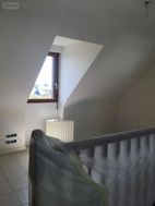 Photo n°5
