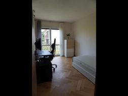 Photo n°3
