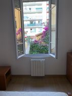 Photo n°2