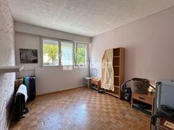 Photo n°6