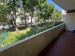 Photo n°6