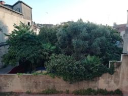 Photo n°9