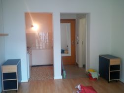 Photo n°1