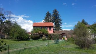 Photo n°4