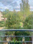 Photo n°6