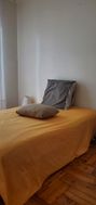 Photo n°6
