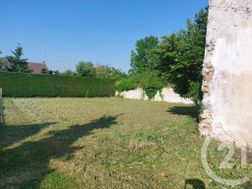 Photo n°3