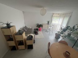 Photo n°3